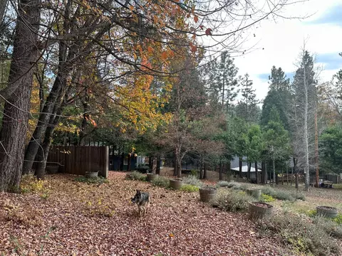 Exterior - 2273 Flanders Dr, Arnold, CA 95223 photo 17 of 20