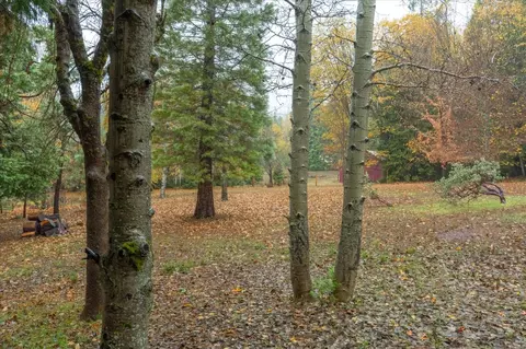 Exterior - 2273 Flanders Dr, Arnold, CA 95223 photo 10 of 20