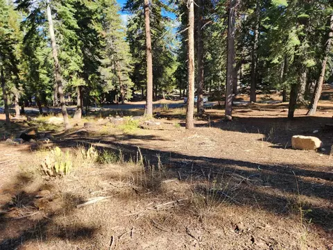 23 John Ebbetts, Bear Valley, CA 95223 photo 3