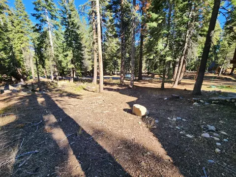 23 John Ebbetts, Bear Valley, CA 95223 photo 4