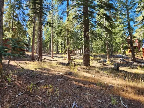 23 John Ebbetts, Bear Valley, CA 95223 photo 1