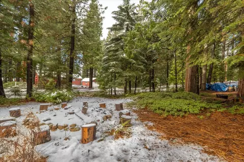 4698 Meko Dr, Camp Connell, CA 95223 photo 30