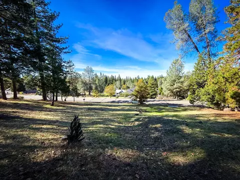 297 Forest Meadows Dr, Murphys, CA 95247