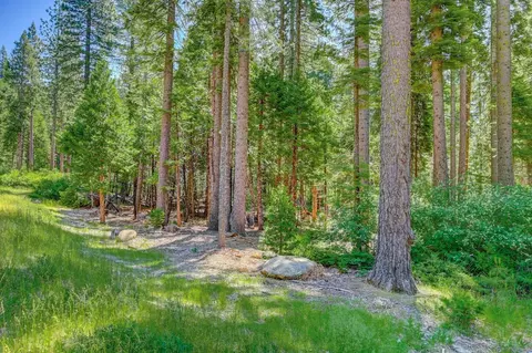10 Timber Trail Ct, Camp Connell, CA 95223 photo 2