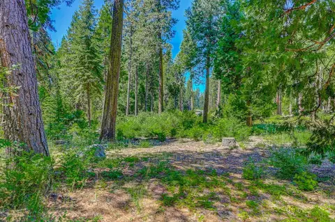 10 Timber Trail Ct, Camp Connell, CA 95223