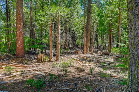 10 Timber Trail Ct, Camp Connell, CA 95223 photo 6