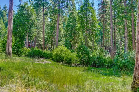 10 Timber Trail Ct, Camp Connell, CA 95223 photo 3