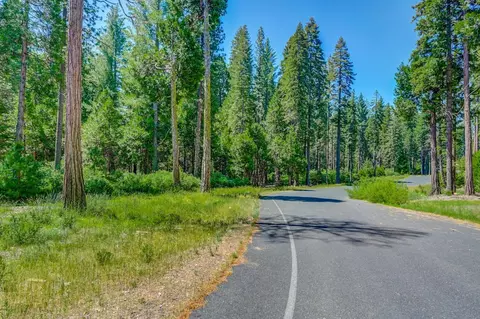 10 Timber Trail Ct, Camp Connell, CA 95223 photo 4