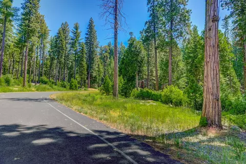 10 Timber Trail Ct, Camp Connell, CA 95223 photo 8