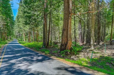 10 Timber Trail Ct, Camp Connell, CA 95223 photo 5