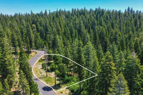 11 Timber Trail Ct, Camp Connell, CA 95223 photo 4