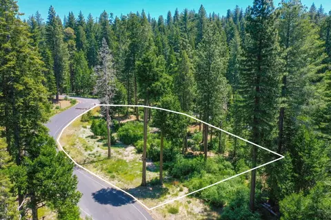 11 Timber Trail Ct, Camp Connell, CA 95223 photo 3