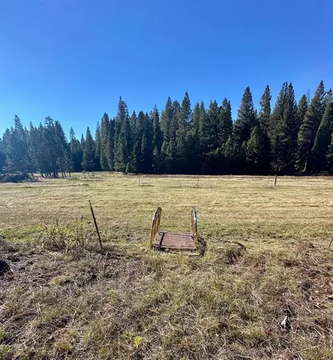 Other - 3561 Highway 4, Arnold, CA 95223 photo 4 of 5