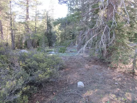 175 Silver Tip Dr, Bear Valley, CA 95223 photo 19