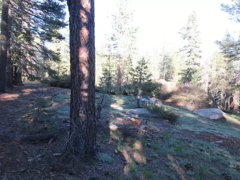 175 Silver Tip Dr, Bear Valley, CA 95223 photo 13