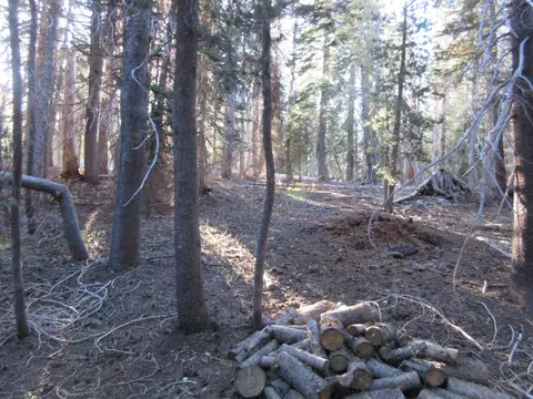 175 Silver Tip Dr, Bear Valley, CA 95223 photo 31