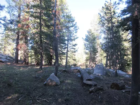 175 Silver Tip Dr, Bear Valley, CA 95223 photo 2