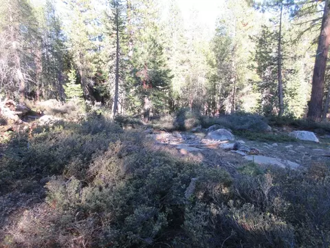 175 Silver Tip Dr, Bear Valley, CA 95223 photo 18
