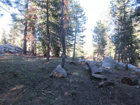 175 Silver Tip Dr, Bear Valley, CA 95223 photo 4