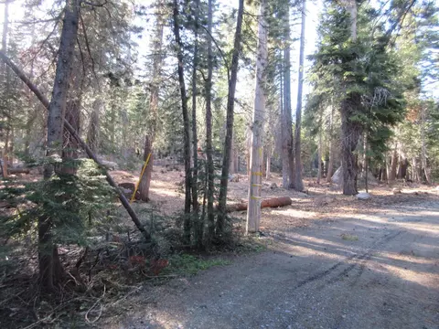 175 Silver Tip Dr, Bear Valley, CA 95223 photo 29
