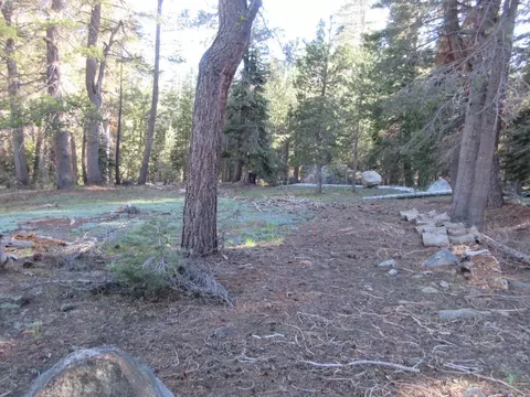 175 Silver Tip Dr, Bear Valley, CA 95223 photo 21