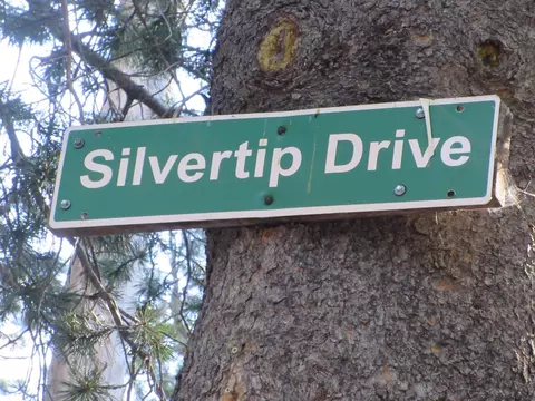 175 Silver Tip Dr, Bear Valley, CA 95223 photo 8