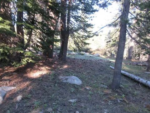 175 Silver Tip Dr, Bear Valley, CA 95223 photo 3