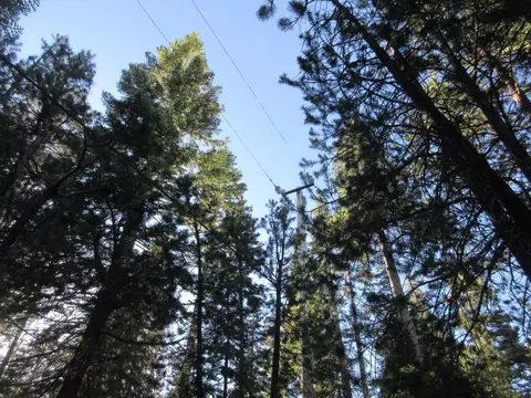 175 Silver Tip Dr, Bear Valley, CA 95223 photo 28