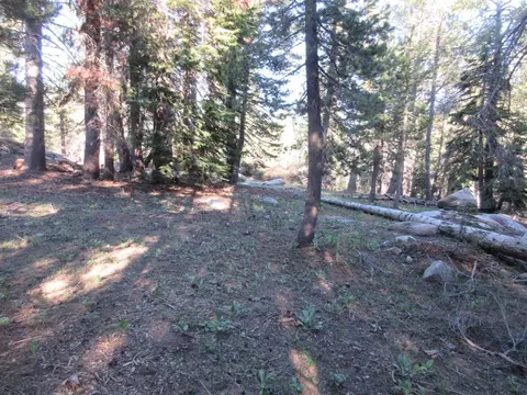175 Silver Tip Dr, Bear Valley, CA 95223 photo 27