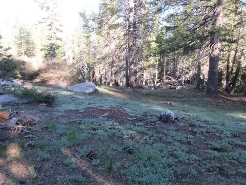 175 Silver Tip Dr, Bear Valley, CA 95223 photo 14
