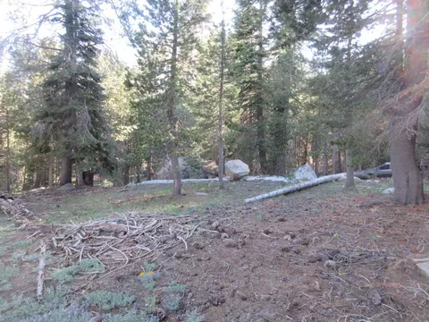 175 Silver Tip Dr, Bear Valley, CA 95223 photo 6