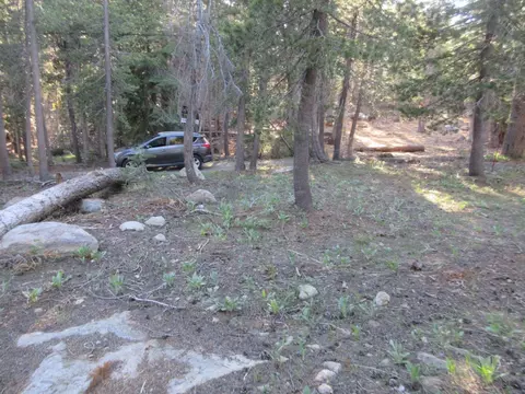 175 Silver Tip Dr, Bear Valley, CA 95223 photo 26