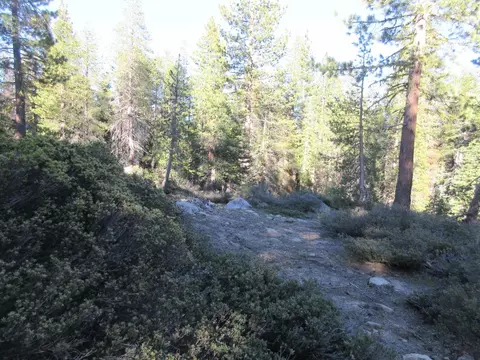 175 Silver Tip Dr, Bear Valley, CA 95223 photo 16