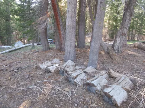 175 Silver Tip Dr, Bear Valley, CA 95223 photo 15