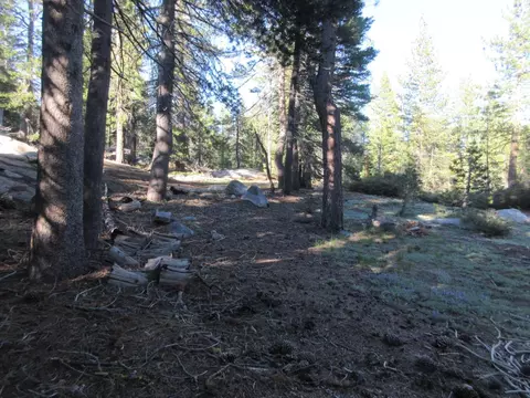 175 Silver Tip Dr, Bear Valley, CA 95223 photo 11
