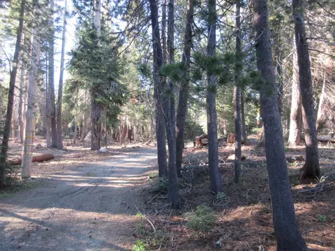 175 Silver Tip Dr, Bear Valley, CA 95223 photo 10