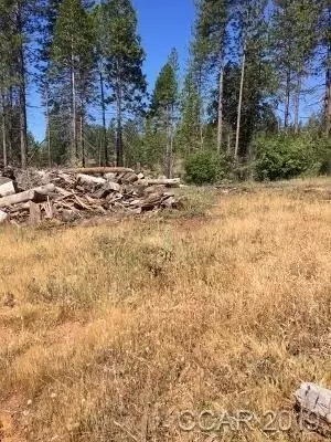 6321 W Old Emigrant Trl, Mountain Ranch, CA 95246