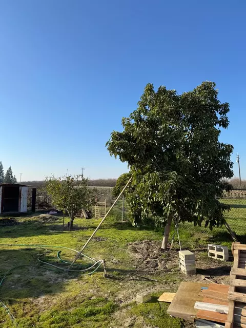 7041 E Conejo Ave, Selma, CA 93662 photo 18