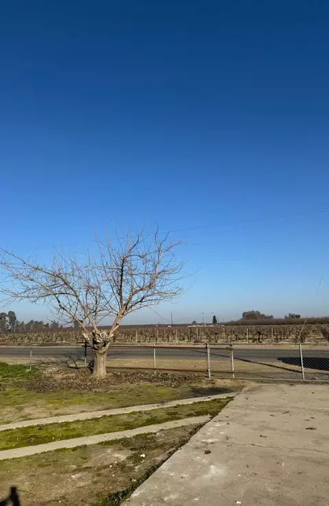 7041 E Conejo Ave, Selma, CA 93662 photo 20