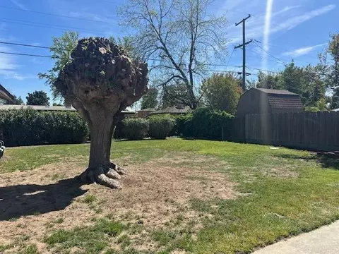 309 Circle Dr, Chowchilla, CA 93610 photo 7