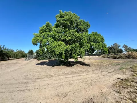 16882 Road 21, Madera, CA 93637 photo 4