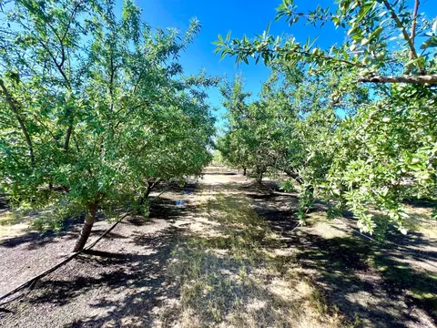 16882 Road 21, Madera, CA 93637 photo 7