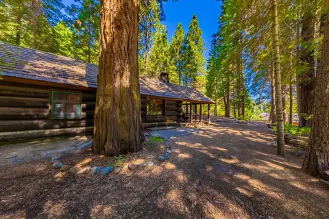 1190 Silvertip, Fish Camp, CA 93623 photo 17