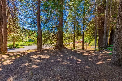 1190 Silvertip, Fish Camp, CA 93623 photo 14