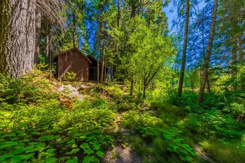 1190 Silvertip, Fish Camp, CA 93623 photo 20
