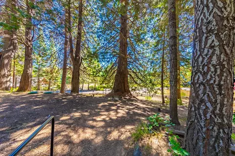 1190 Silvertip, Fish Camp, CA 93623 photo 13
