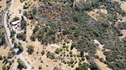 52925 Hogback Rd, Miramonte, CA 93641 photo 76
