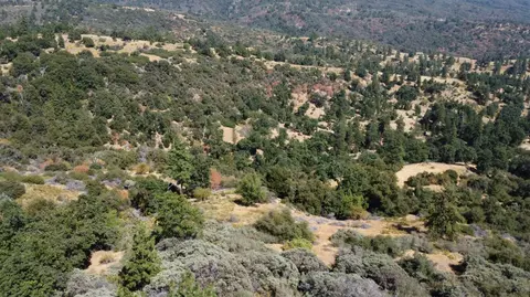 52925 Hogback Rd, Miramonte, CA 93641 photo 72
