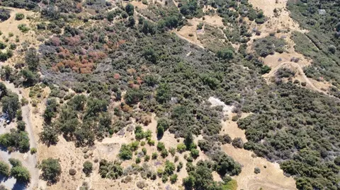 52925 Hogback Rd, Miramonte, CA 93641 photo 75