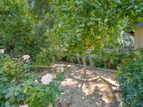 135 Villa Ave, Clovis, CA 93612 photo 50